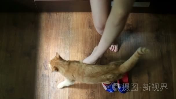 走在她的鞋子的女人推客场红猫视频