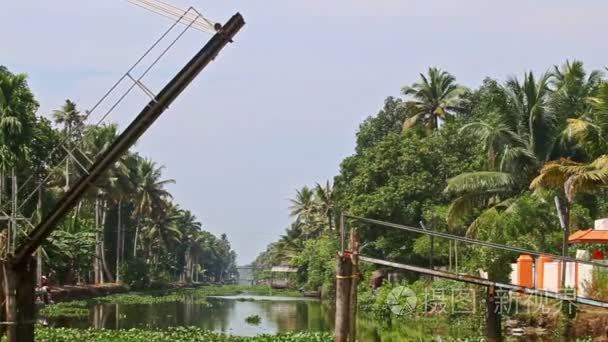 Calm river with water plants