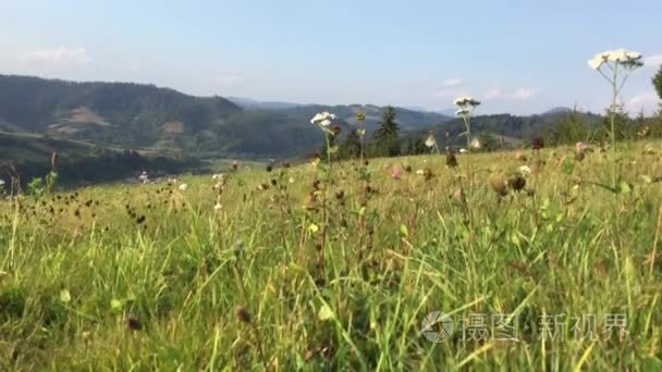 美丽的风景与山视频