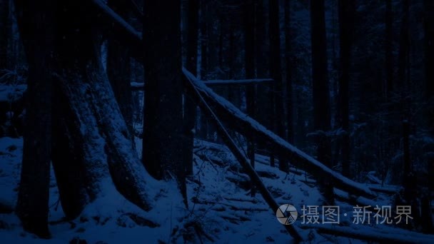 晚上路过堕落日志在雪林视频