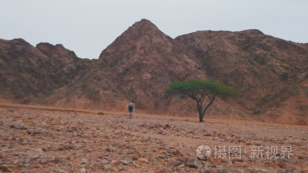 女摄影师与三脚架在埃及沙漠视频