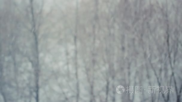 雪花落暴雪视频