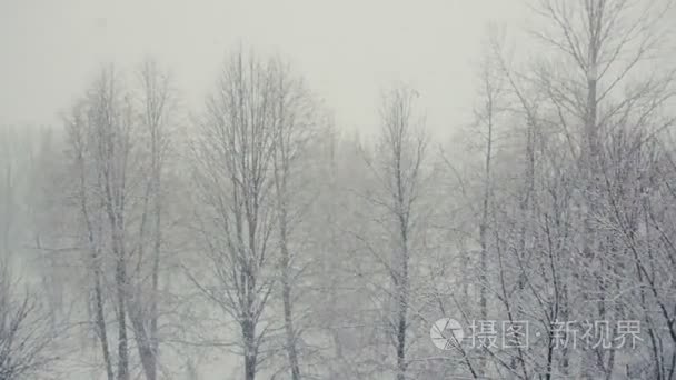 雪花落暴雪视频