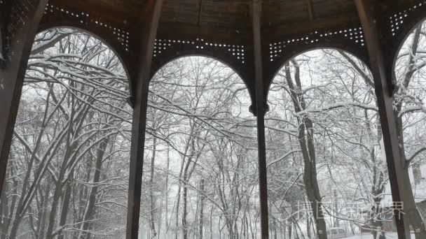 树木的木结构建筑在下雪视频