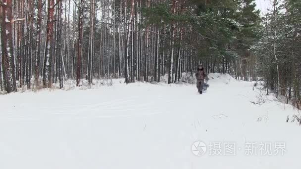 父亲抱着孩子上雪橇穿过树林视频