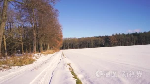 农村的德国地区冬季景观视频