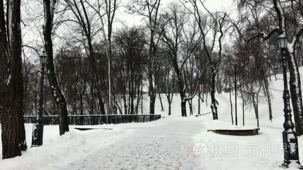 弗拉基米尔山上的雪下楼梯的人视频