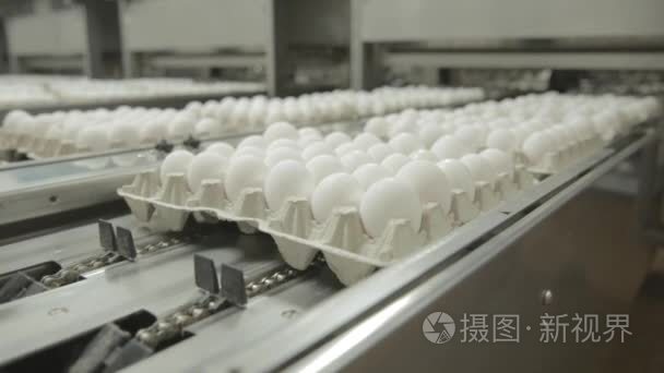 在一个现代化的工厂产蛋视频