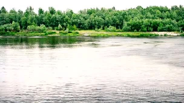 夏日风景与河和绿色的树视频