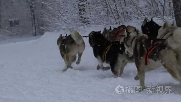 冬天在户外沙哑竞赛视频