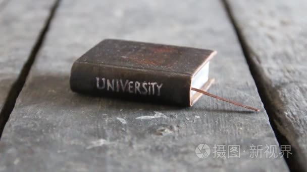 大学就业理念视频