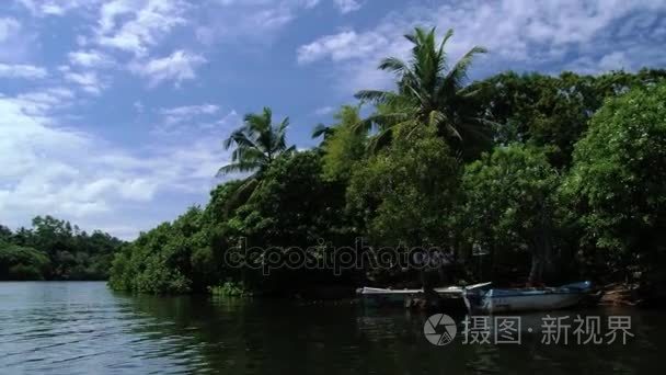 从移动旅游船在斯里兰卡到热带森林在 Madu 恒河河岸查看
