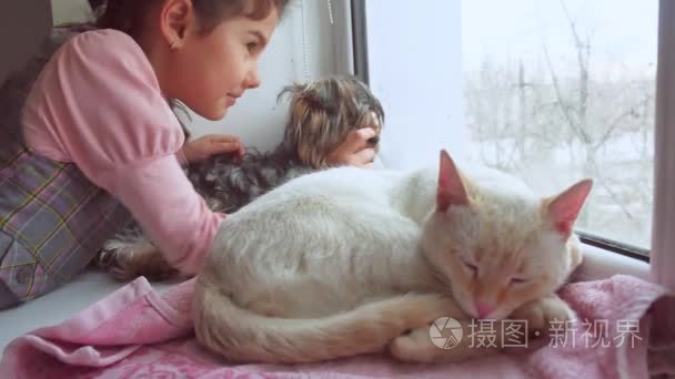 女孩的孩子和宠物猫和狗看着窗外，那只猫睡觉宠物