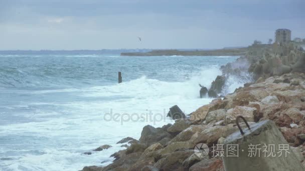 混凝土防波堤四足动物视频