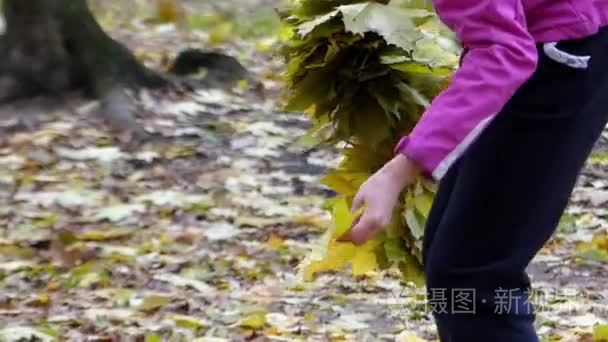 女孩为制作花圈收集黄色枫叶视频