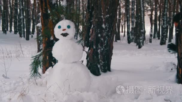 在松树林中人造型雪人视频