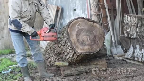 用链锯伐木工视频