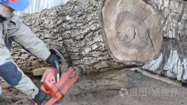 用链锯伐木工视频