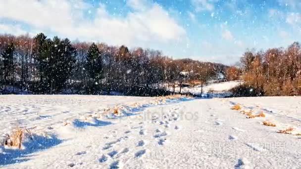 白色的乡间小路上和飘落的雪花视频