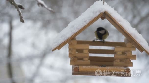 鸟儿飞到送纸器并采取种子，雪在树上，纷飞的大雪为禽舍