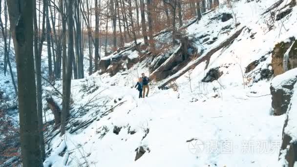 散步的夫妇冬天雪林视频