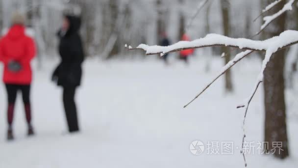 冬季公园与雪覆盖树木，在公园散步的人