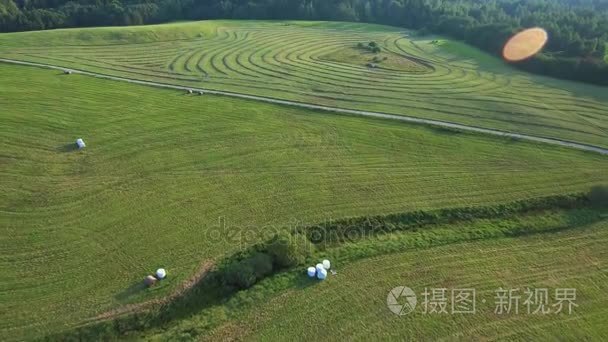 绿油油的草地鸟瞰图视频