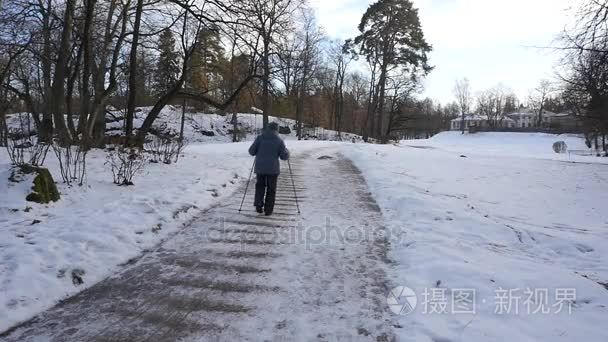 老太太走北欧冬季公园散步视频