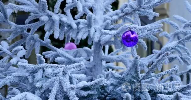 圣诞装饰与雪和圣诞节树的分支视频