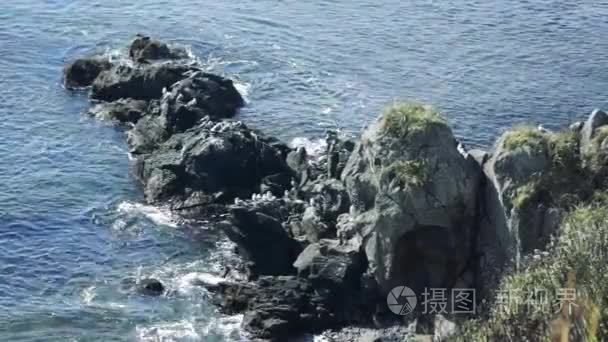 海岸的岛屿国后视频