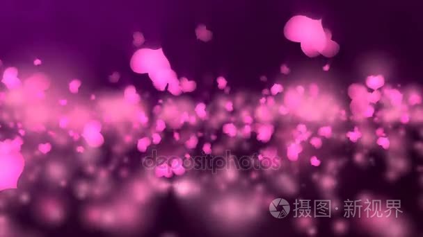 情人节那天紫动画视频