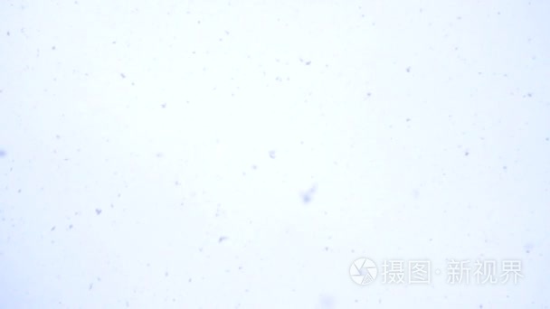 白色的雪来自冬季天空