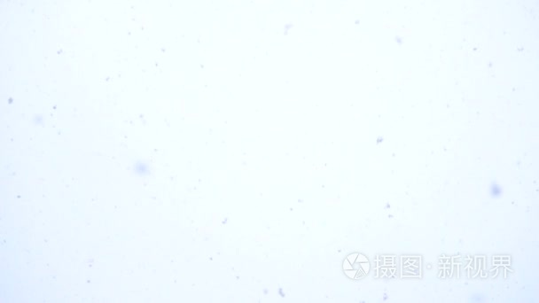 白色的雪来自冬季天空