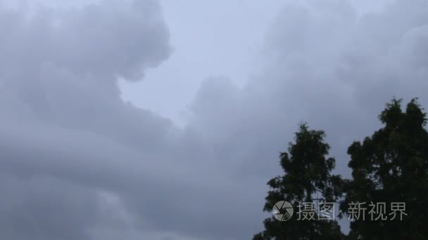 雨后的天空森林视频