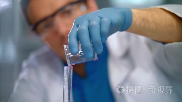 浇注液体在玻璃烧瓶中的科学家。化学家在医用手套的特写