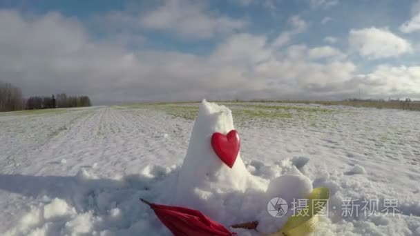 装饰雪人雪女飘落下来，时间推移 4 k