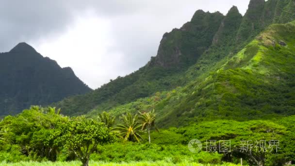 扶桑山欧胡岛夏威夷视频