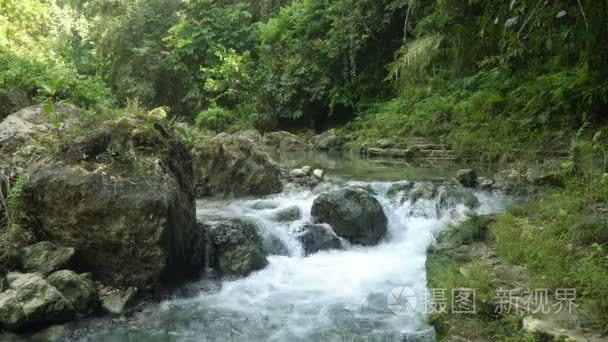 在雨林里的河视频