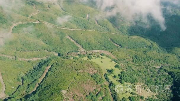 与雾山常绿森林的鸟瞰图视频