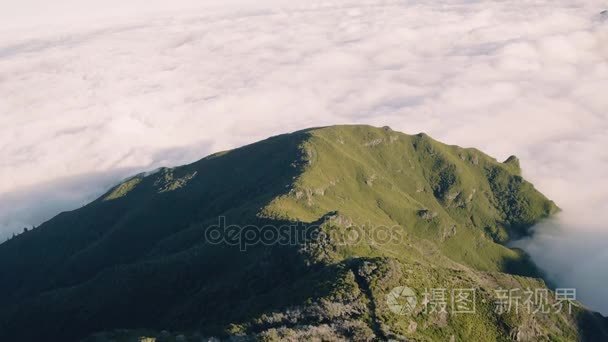 与雾山常绿森林的鸟瞰图视频