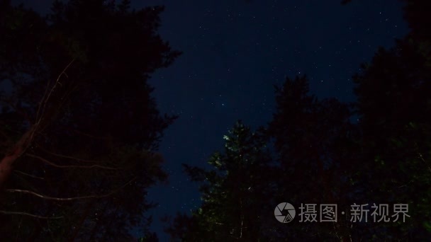 夏天的夜晚星空松视频