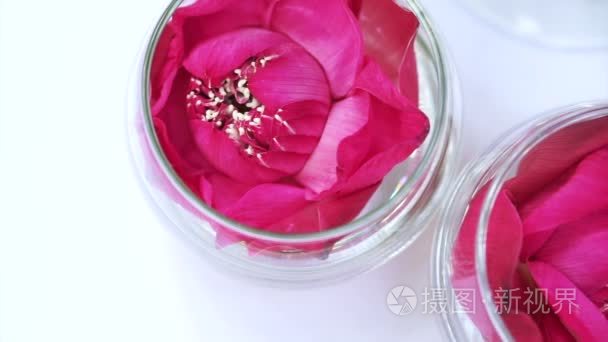 粉色的荷花朵漂浮在一杯玻璃水。东方亚洲概念背景