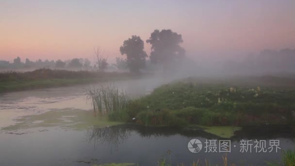 雾霭的清晨，在河上