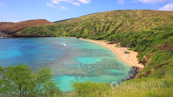 哈瑙马湾在夏威夷瓦胡岛视频