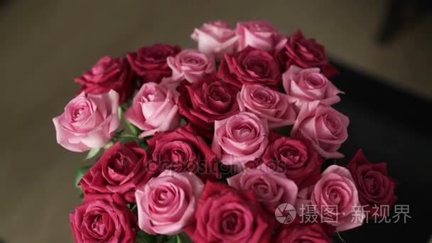 美丽的红色和粉色玫瑰视频