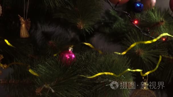 美丽绿色的圣诞树花环与玩具上视频