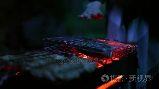 鱼烹饪烤架上视频