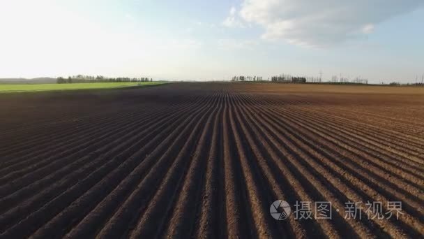 4 k.飞行以上新鲜栽培领域在日落时在春天，空中视图中