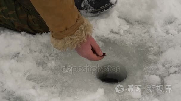 在冬季捕鱼的渔夫诱惑鱼虫视频