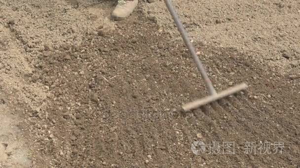 4k- 00:00公鸡耙地寻找食物视频4k- 00:28拖拉机